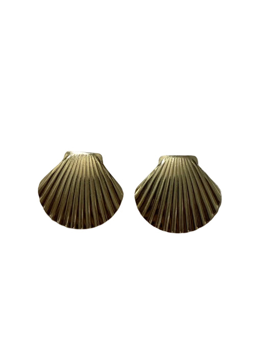 AROS CONCHA
